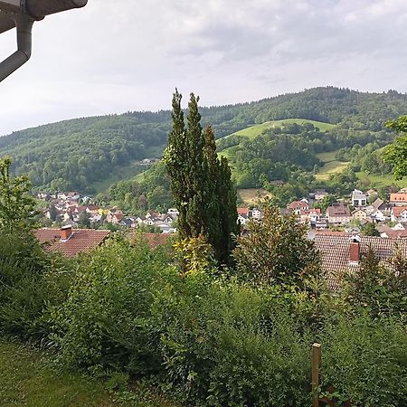 Das Tor Zum Odenwald Gorxheimertal Exteriör bild