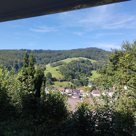 Das Tor Zum Odenwald Gorxheimertal Exteriör bild