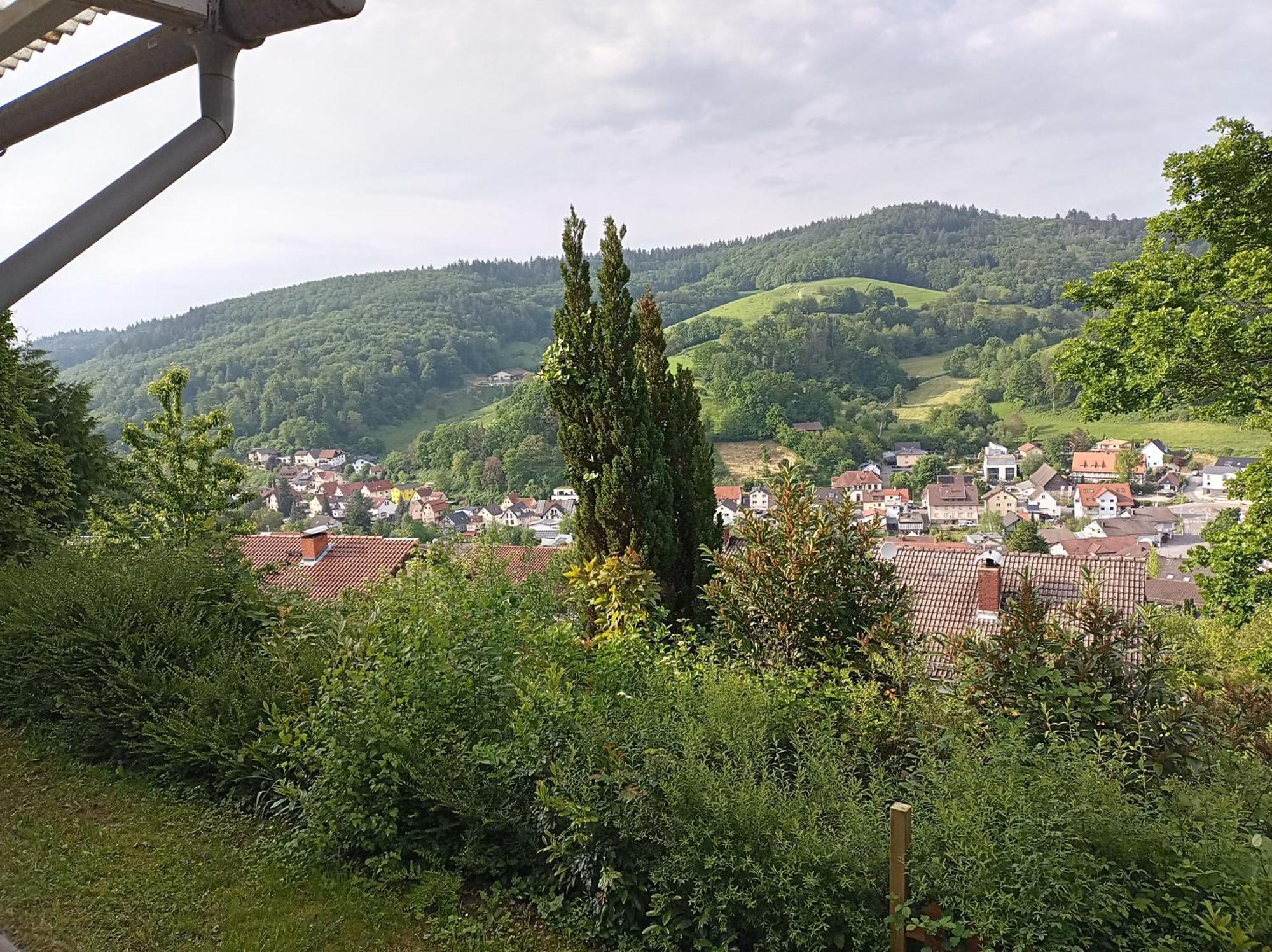 Das Tor Zum Odenwald Gorxheimertal Exteriör bild