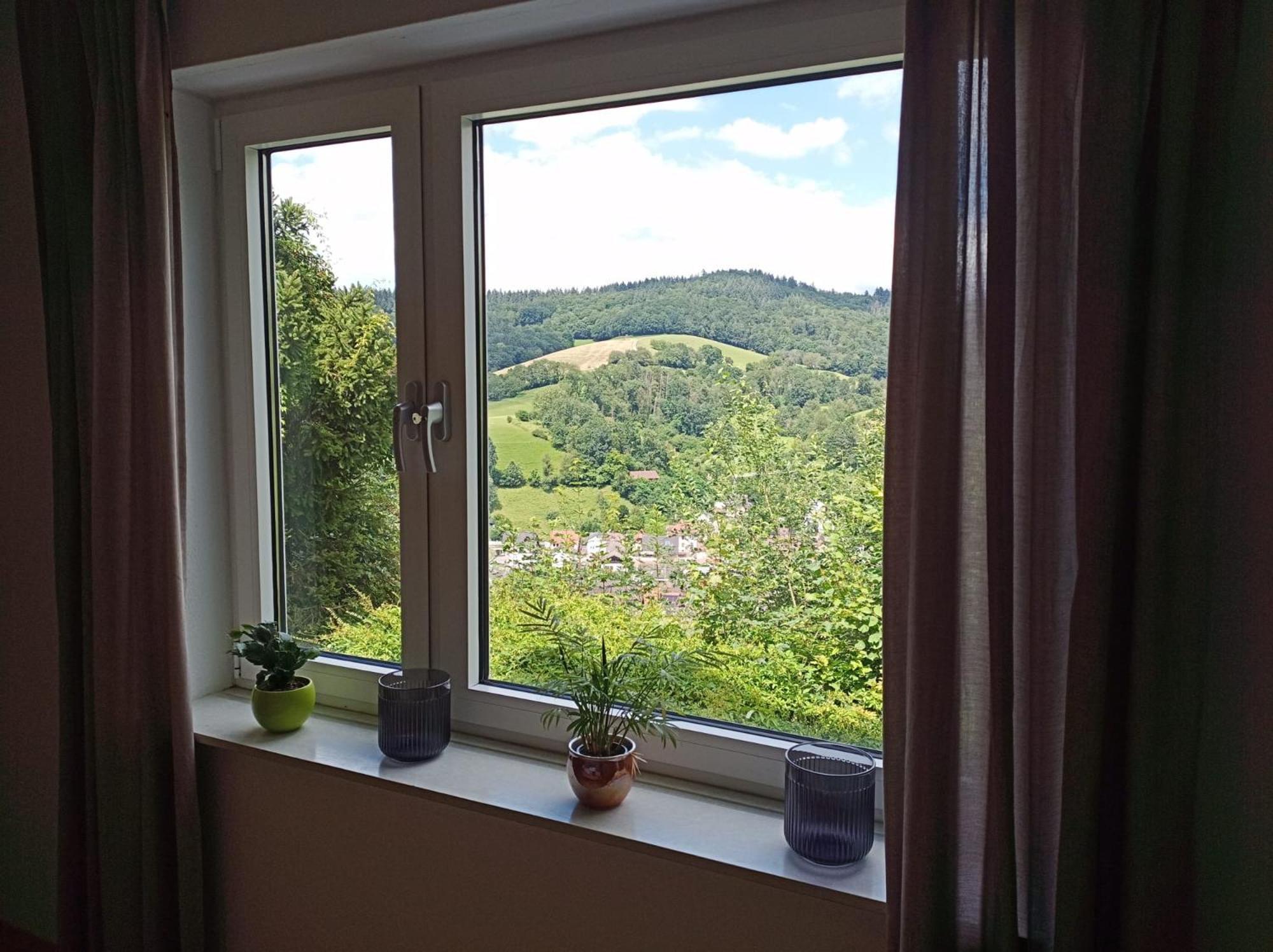 Das Tor Zum Odenwald Gorxheimertal Exteriör bild