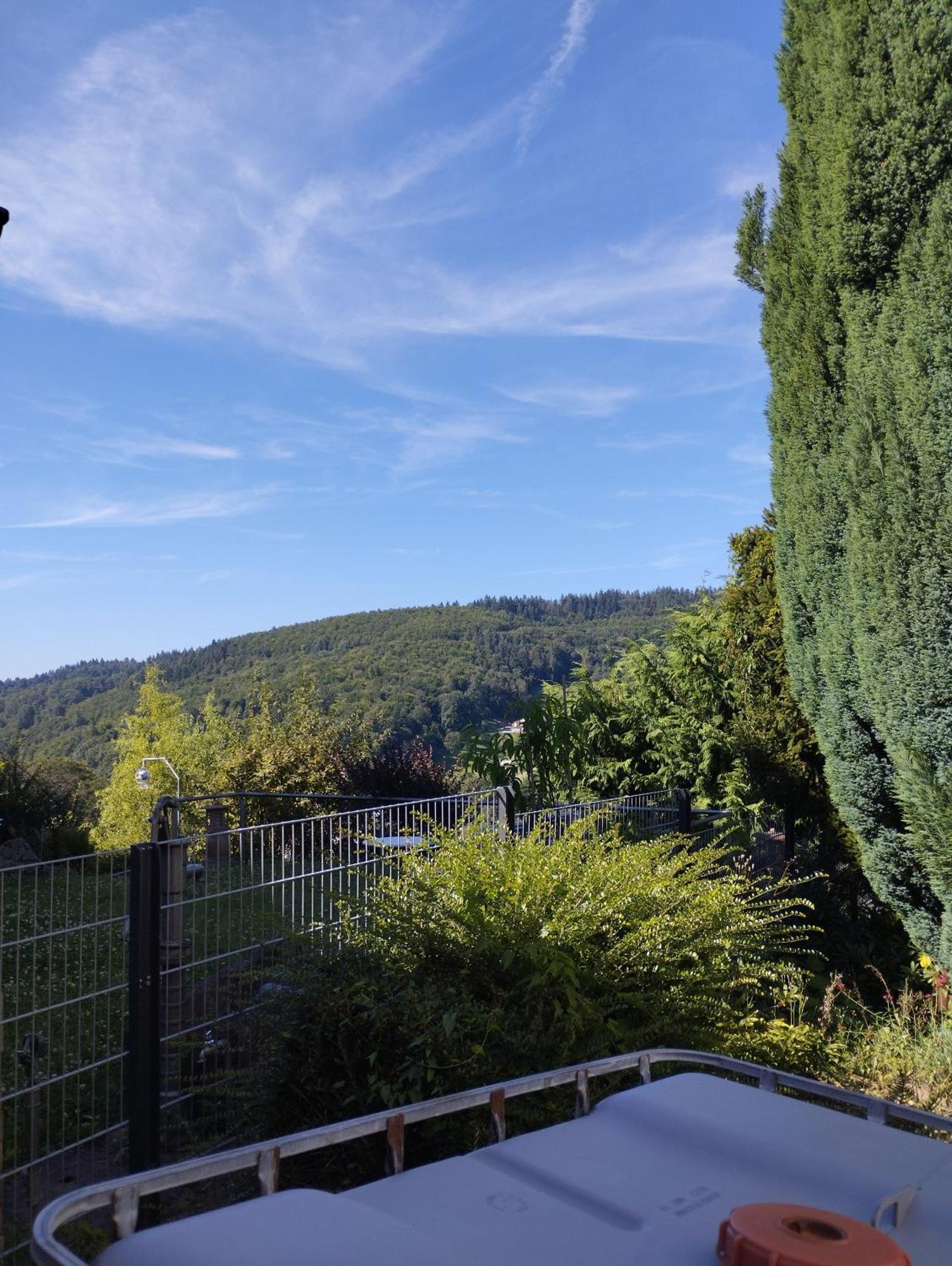 Das Tor Zum Odenwald Gorxheimertal Exteriör bild