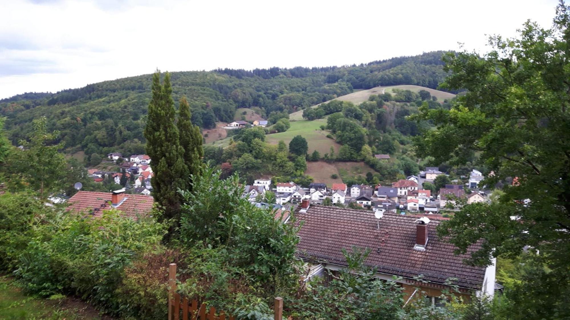 Das Tor Zum Odenwald Gorxheimertal Exteriör bild