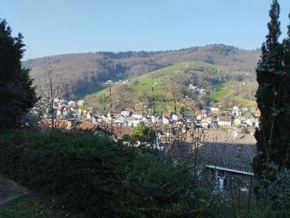 Das Tor Zum Odenwald Gorxheimertal Exteriör bild